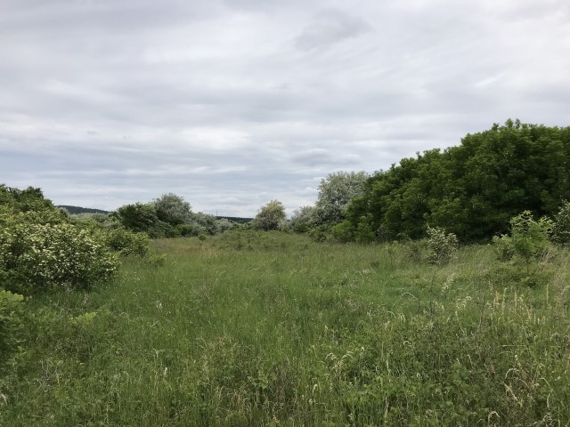 Budakeszin a Budaörsi út mellett eladó egy 4505 m2-es, Gksz-4 besorolású telek.