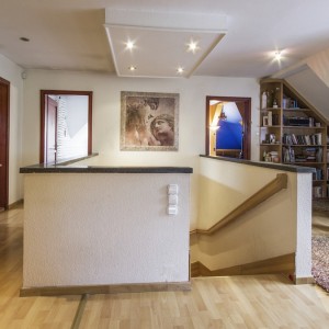 Törökbálint Tükörhegyen impozáns méretű önálló családi ház remek fekvésű saroktelken eladó #2